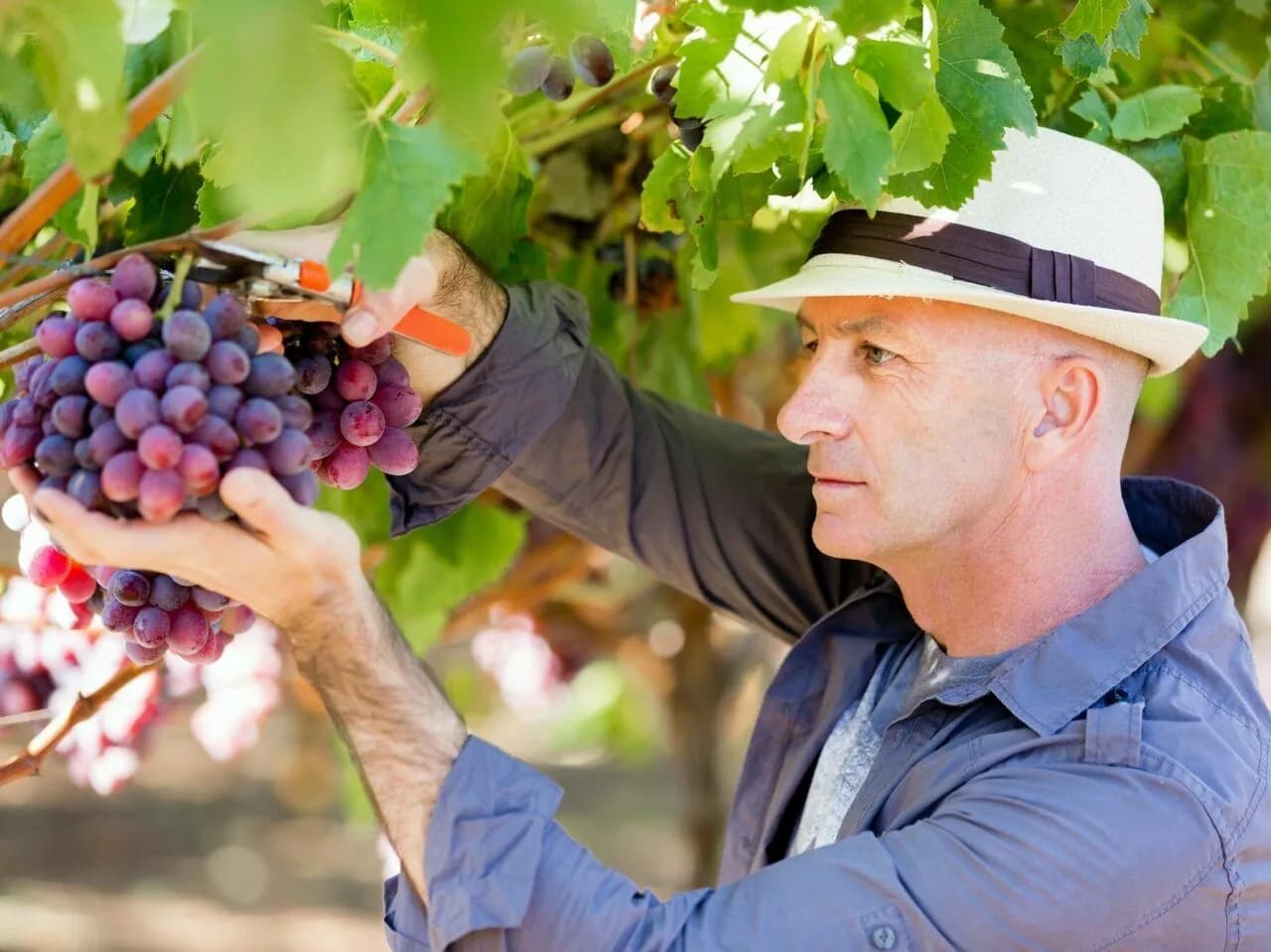 Męskie nakrycia głowy na lato - Ochrona i styl w jednym!